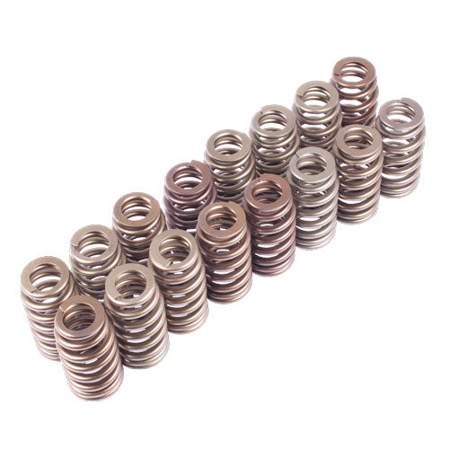 Ford Performance - Boss 302r Valve Spring Kit - M-6513-M50BR