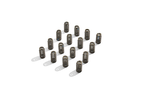 Ford Performance - Boss 302r Valve Spring Kit - M-6513-M50BR