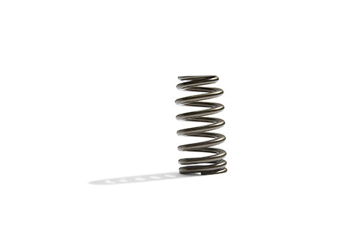 Ford Performance - Boss 302r Valve Spring Kit - M-6513-M50BR