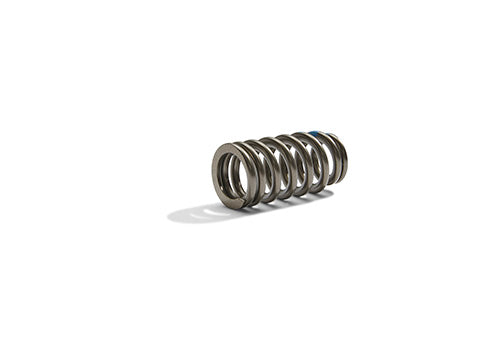 Ford Performance - Boss 302r Valve Spring Kit - M-6513-M50BR