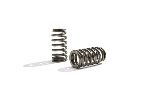Ford Performance - Boss 302r Valve Spring Kit - M-6513-M50BR