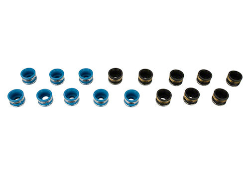 Ford Performance - Valve Stem Seals Positive-type, Guide-mounted Seal - M-6571-A50