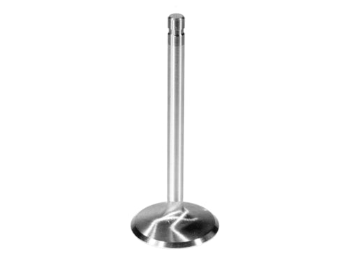 Ford Performance - Intake Valve - M-6507-A304