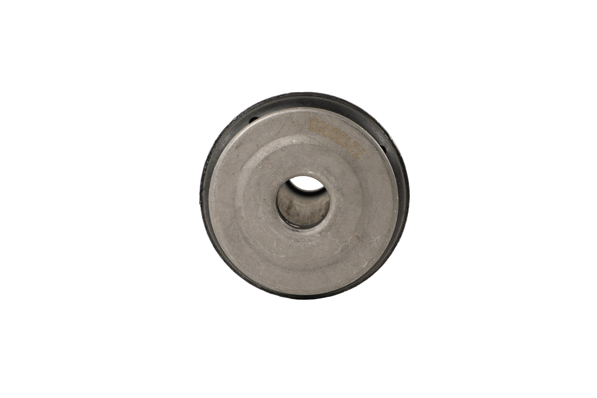 MOOG 06-11 Ford Crown Victoria Front Lower Forward Control Arm Bushing - K201974 - front view