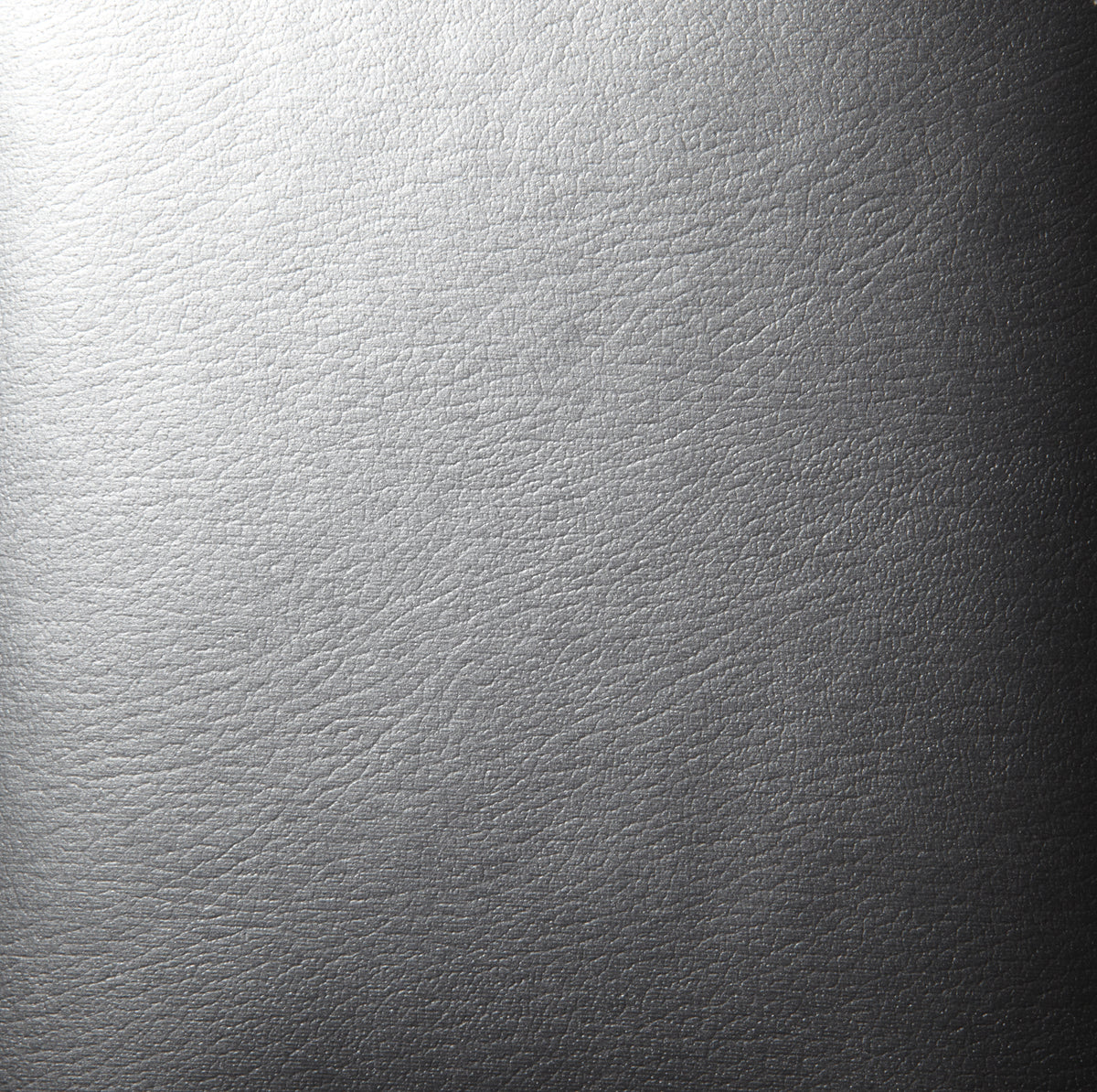 Covercraft 99-03 Honda Odyssey UVS100 Custom Sunscreen - Silver - UV10735SV