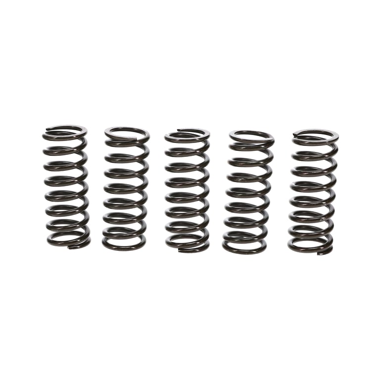Wiseco Honda CRF250R/250X Clutch Spring Kit - CSK004