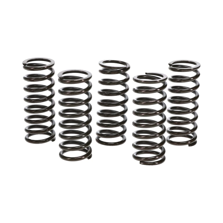 Wiseco Honda CRF250R/250X Clutch Spring Kit - CSK004