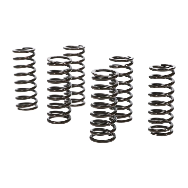 Wiseco DRZ/LTZ400 KLX/KFX400 Clutch Spring Kit - CSK019