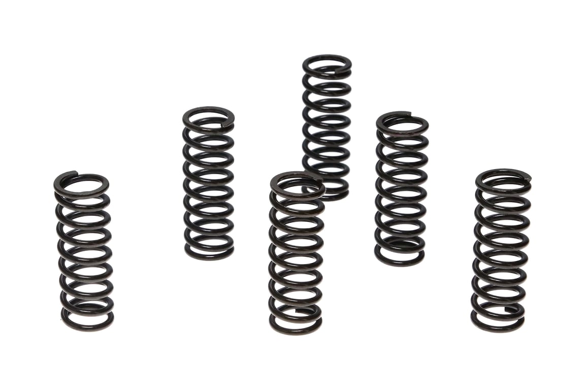 Wiseco Suzuki RM250/LT-R450 Clutch Spring Kit - CSK025