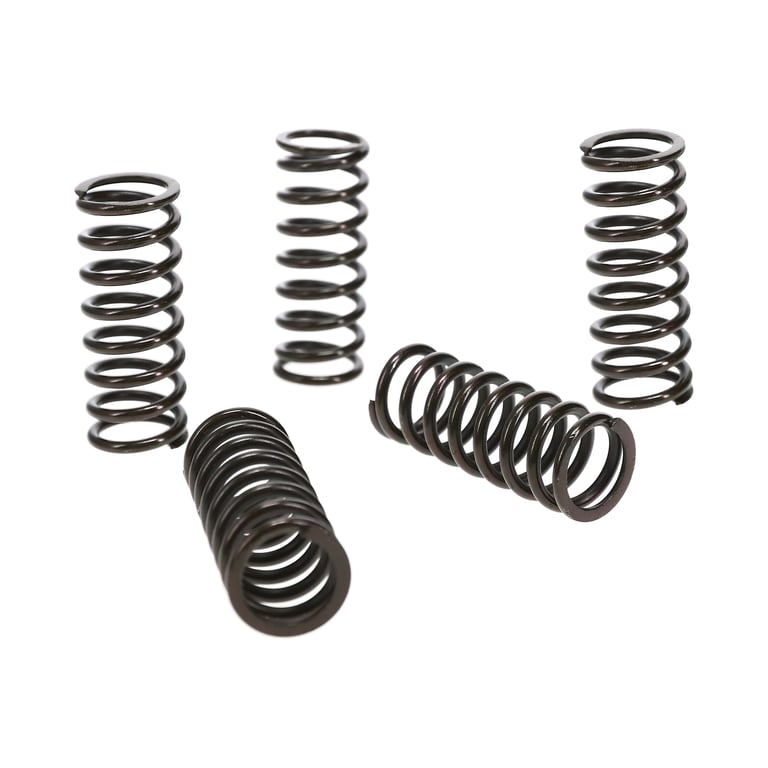 Wiseco 07-09 Suzuki RM-Z250 Clutch Spring Kit - CSK026