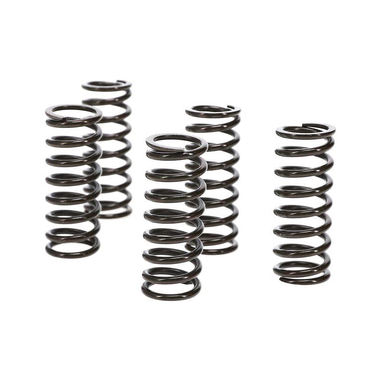 Wiseco 01-07 Suzuki DR-Z250 Clutch Spring Kit - CSK042