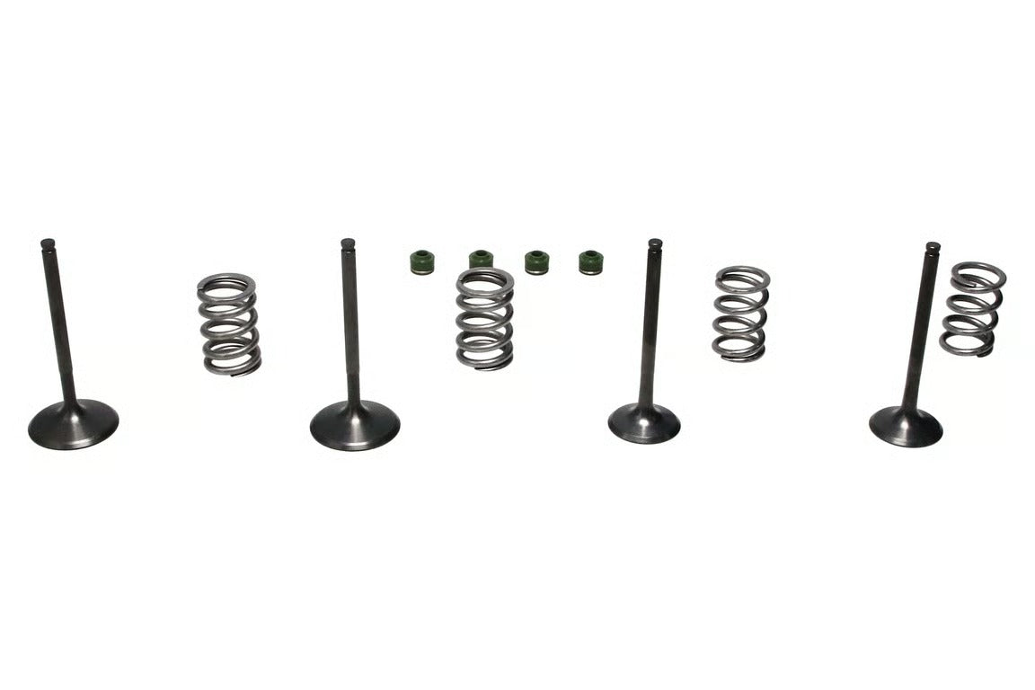 Wiseco 06-11 Suzuki LT-R450 Steel Valve Set - SVKB3406