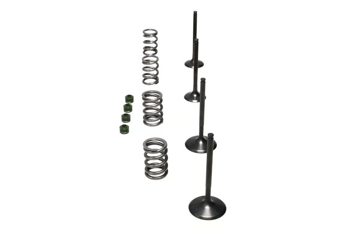 Wiseco 06-11 Suzuki LT-R450 Steel Valve Set - SVKB3406