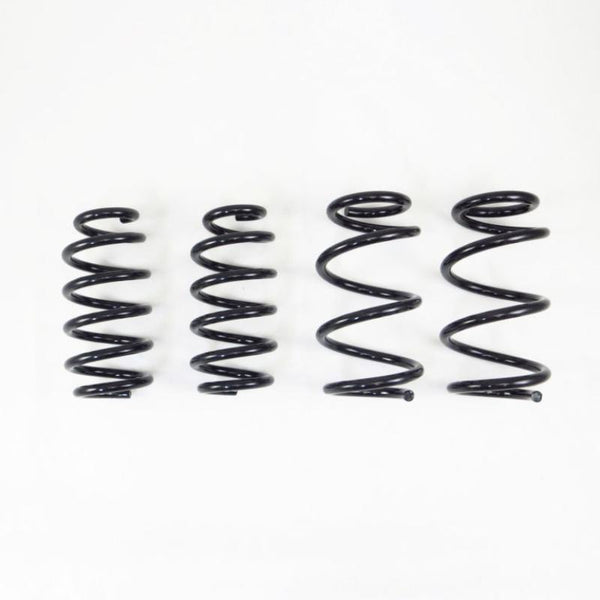 RS-R 19+ Tesla Model 3 AWD Down Sus Springs - TL002TD by RS-R
