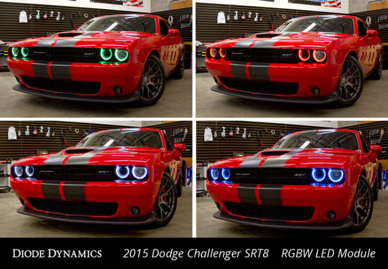 Diode Dynamics 15-21 Dodge Challenger RGBW DRL LED Boards - DD2002