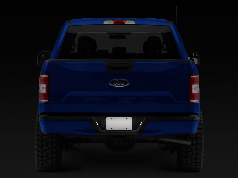 Raxiom 15-23 Ford F-150 Axial Series LED License Plate Lamps - T542565