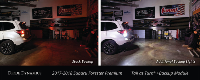 Diode Dynamics 17-18 Subaru Forester Premium (USDM) Tail as Turn +Backup Module Module Only - DD3045