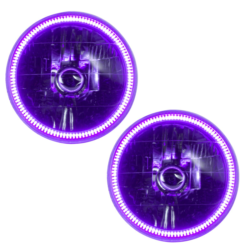 Oracle Lighting 97-06 Jeep Wrangler TJ Pre-Assembled LED Halo Headlights -UV/Purple SEE WARRANTY - 7081-007
