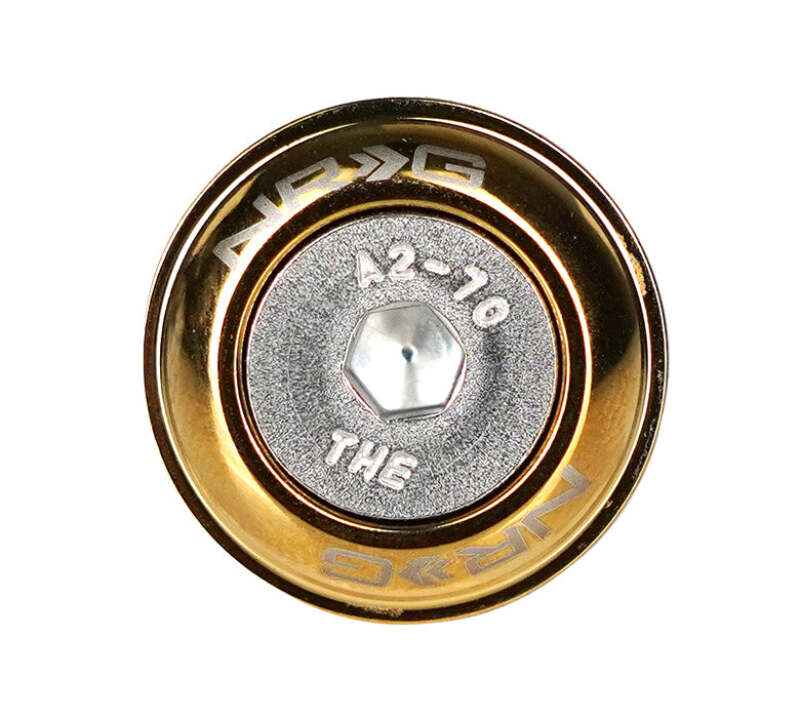 NRG Fender Washer Kit w/ Rivets For Plastic (Chrome Gold) - Set of 10 - FW-100CG - close-up view