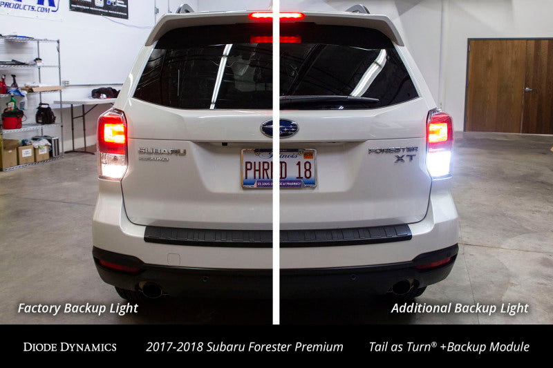 Diode Dynamics 17-18 Subaru Forester Premium (USDM) Tail as Turn +Backup Module Module Only - DD3045