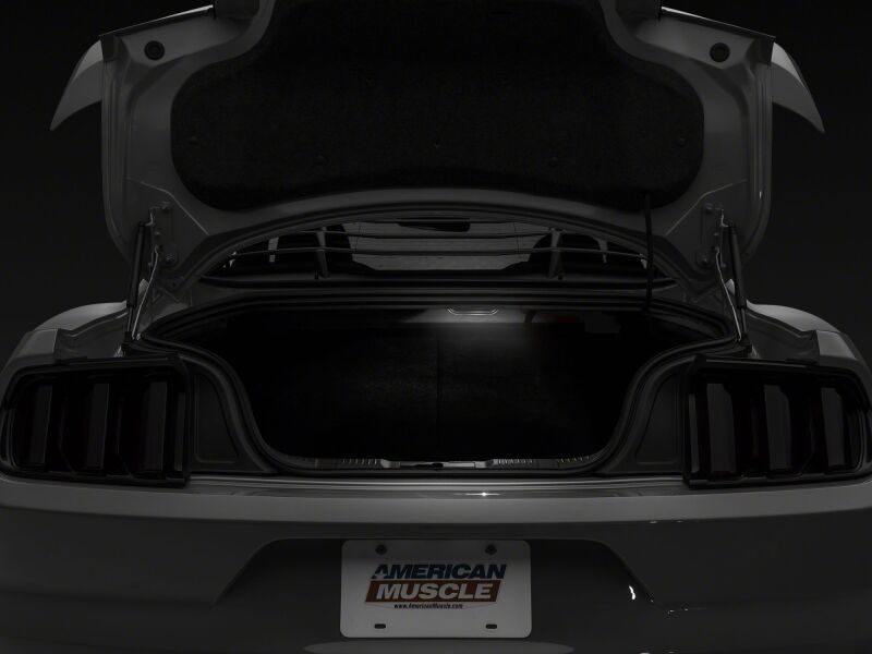Raxiom 15-23 Ford Mustang Axial Series Stage 1 Interior LED Lighting Kit- Cool White - 390268 - additional view 9