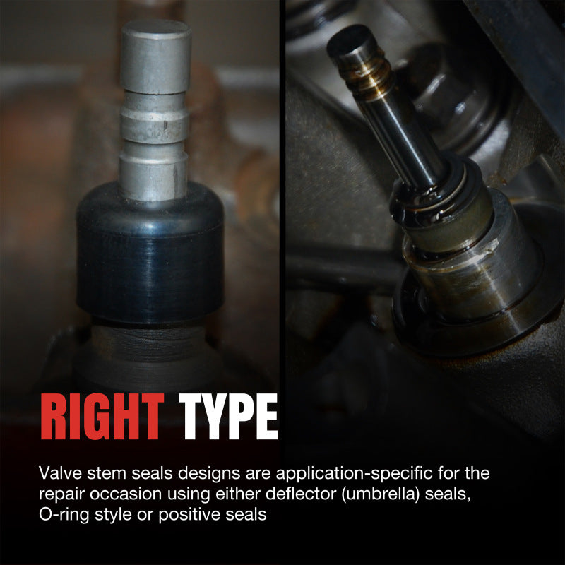 Photo - lifestyle view