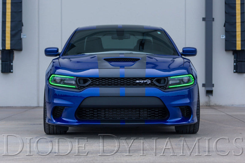 Diode Dynamics RGBW DRL LED Boards for 2019-2021 Dodge Charger - DD2282
