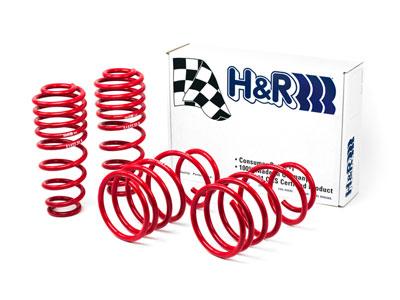 H&R 05-09 Ford Mustang/Convertible/GT/Shelby GT/Shelby GT-H V6/V8 Race Spring - 51655-88