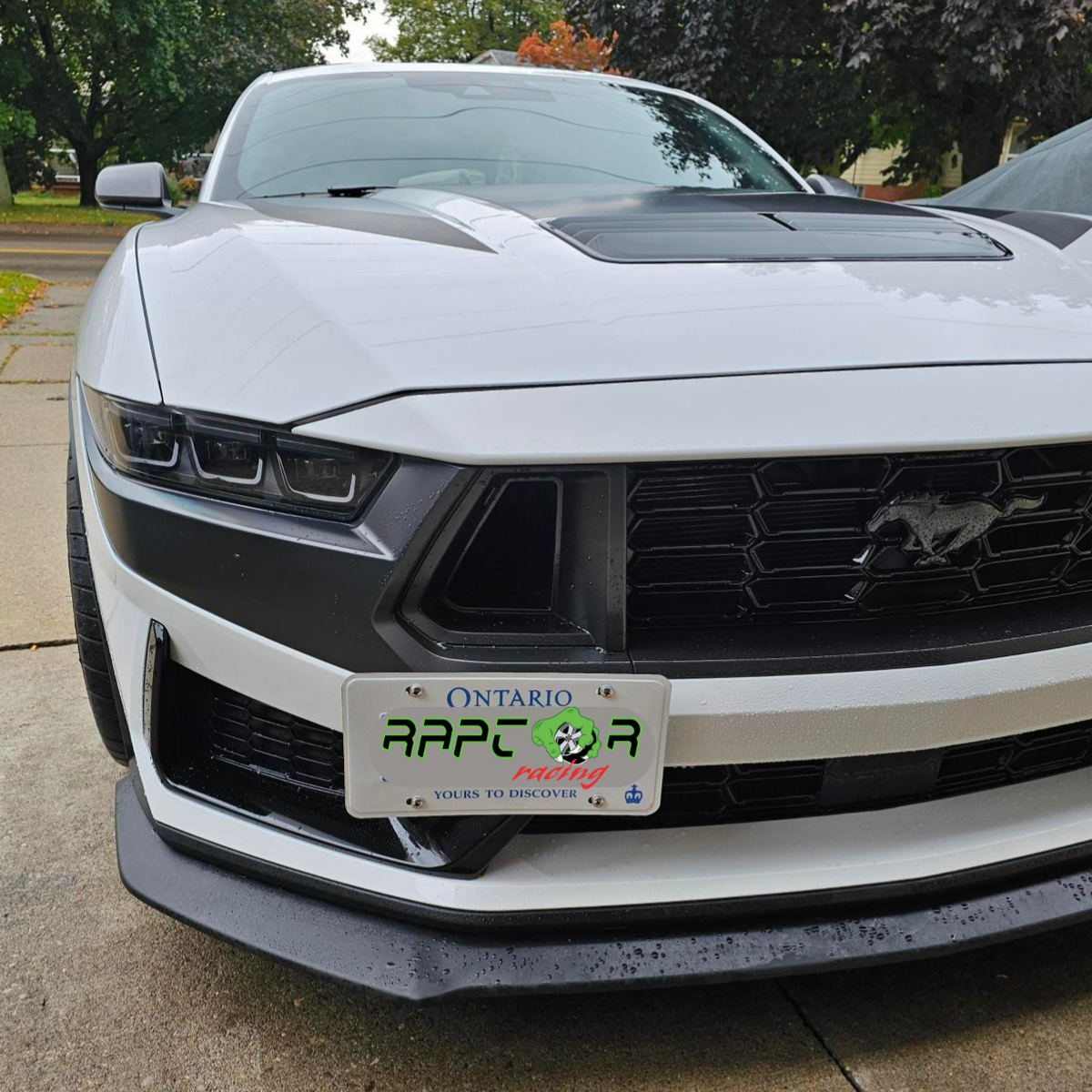 Raptor Racing - Ford Mustang 24+ Dark Horse License Plate Relocation Kit