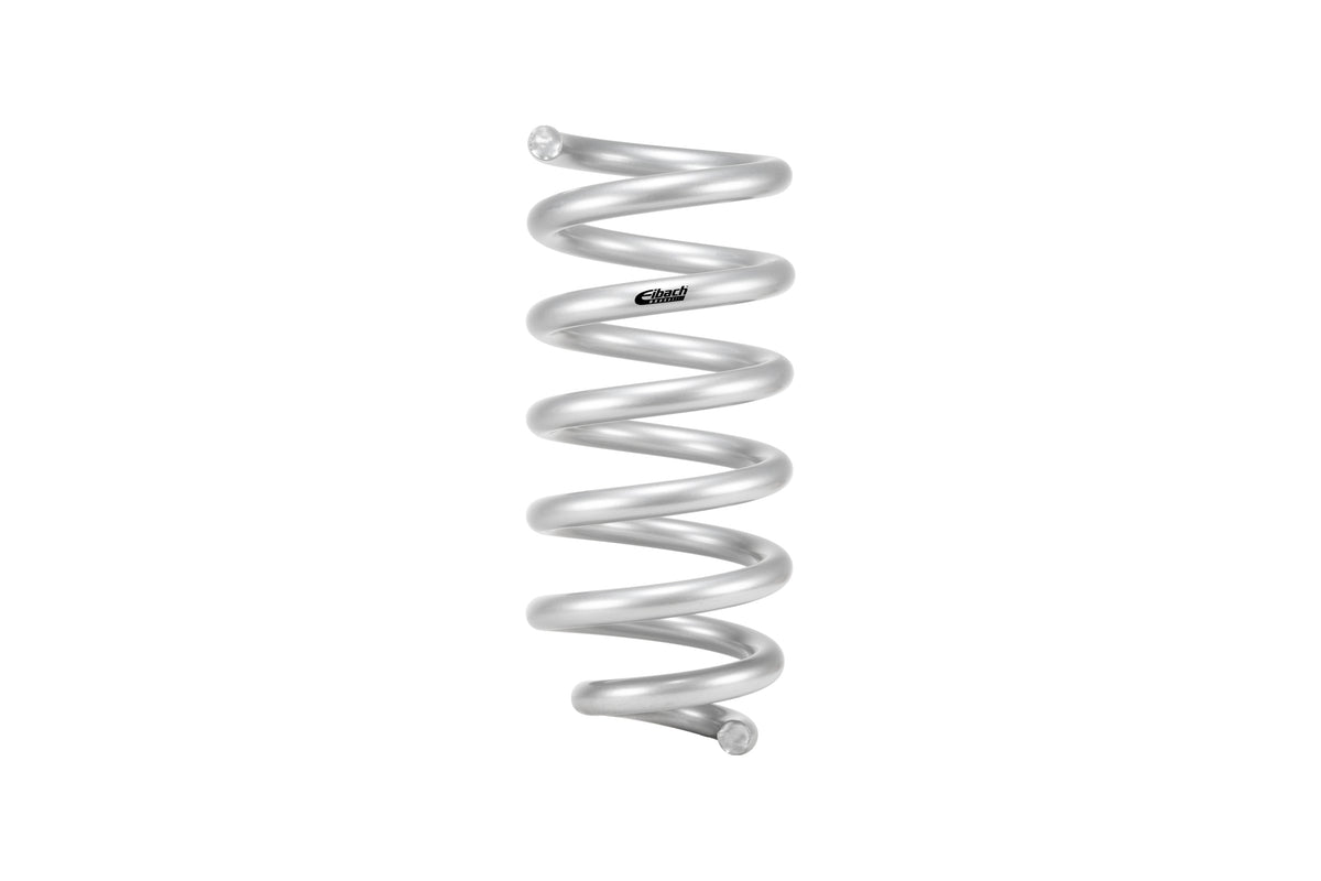Eibach Pro-Truck Lift Kit (Stage 1) for 18-24 Ford Expedition 2WD/4WD - E80-35-050-01-22