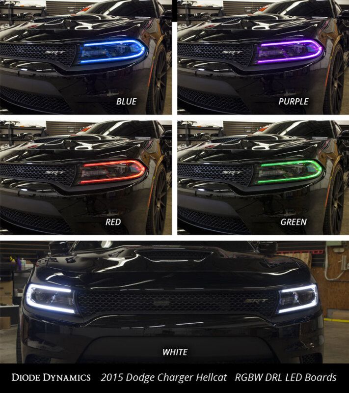 Diode Dynamics 2015-2018 Dodge Charger RGBW DRL LED Boards - DD2003