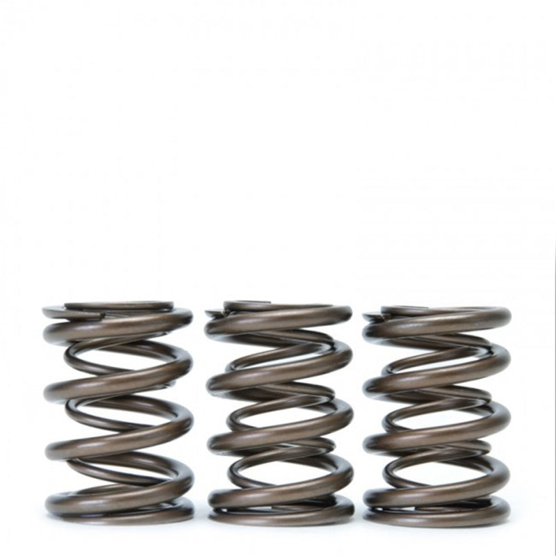 Skunk2 Tuner Series Honda/Acura (B16A/ B17A/ B18C) DOHC VTEC Alpha Valve Spring Set (Dual Springs) - 311-05-1350