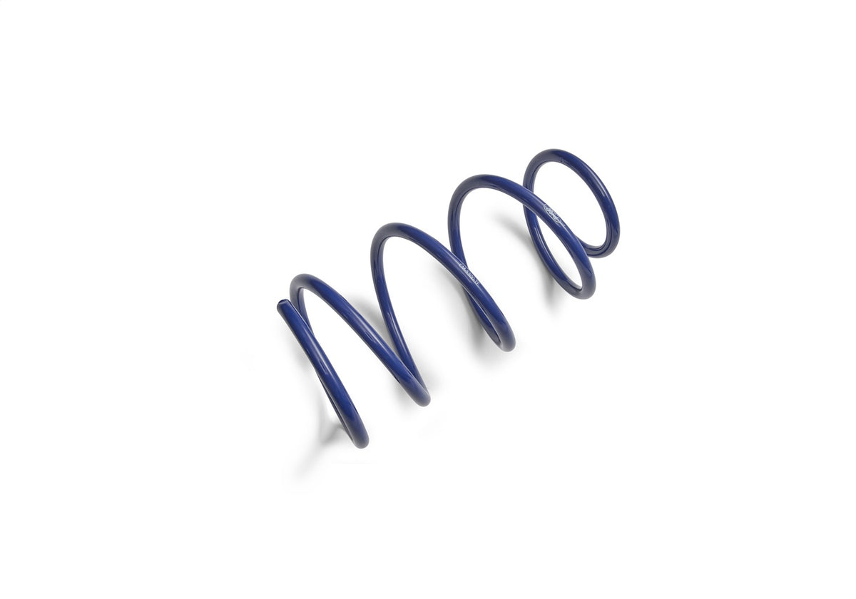Ford Performance 2012-2013 Boss 302 Lowering Springs — additional view (FRPM-5300-T)