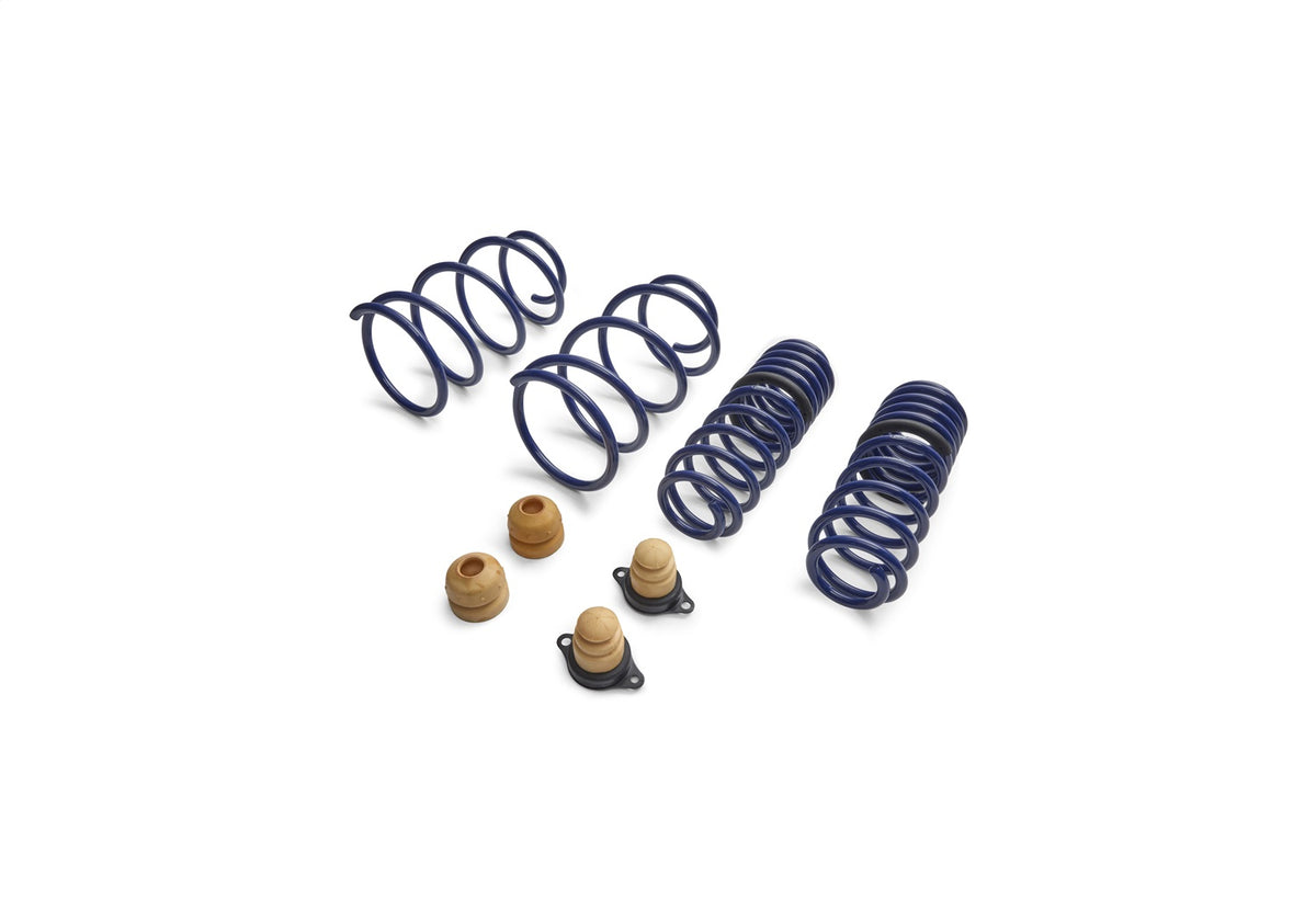 Ford Performance 2012-2013 Boss 302 Lowering Springs — alternate view (FRPM-5300-T)
