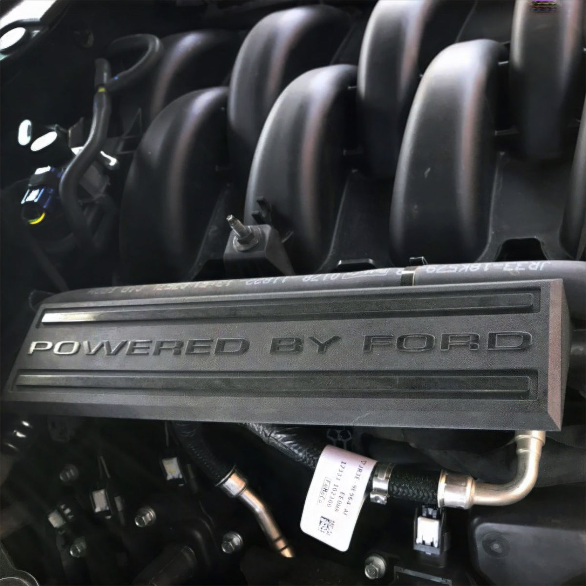 Ford Performance 2018-2023 5.0L "Powered By Ford" Engine Dress Up Kit (FRPM-9680-M50BA)