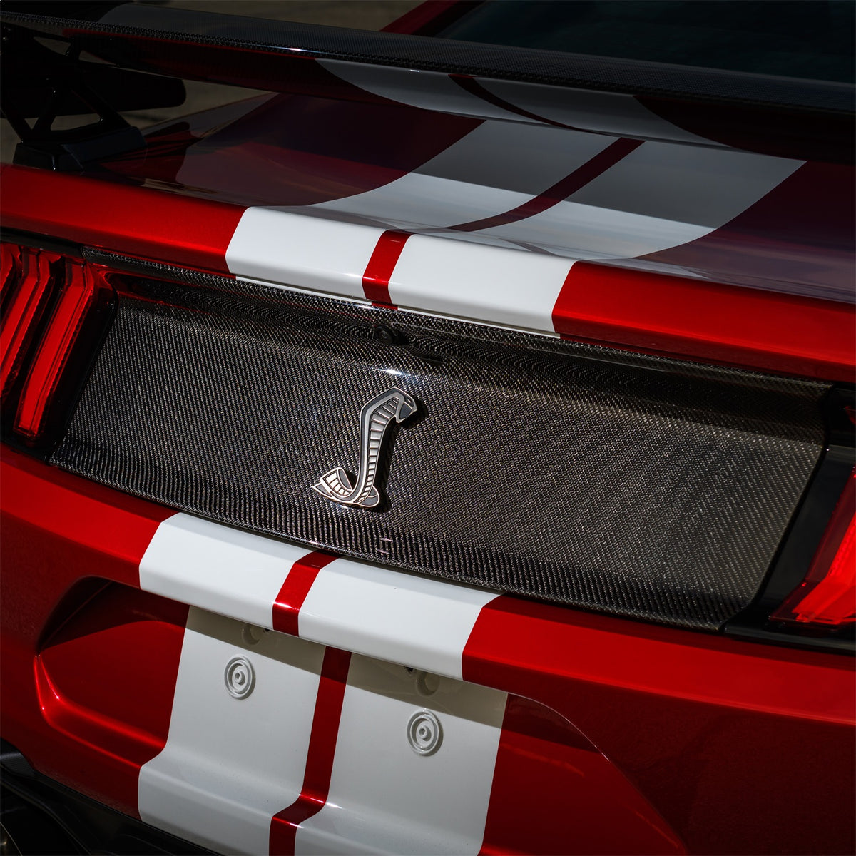 Ford Performance 2020-2022 GT500 Carbon Fiber Rear Deck Lid Trim Panel — additional view (FRPM-16600-MCF)