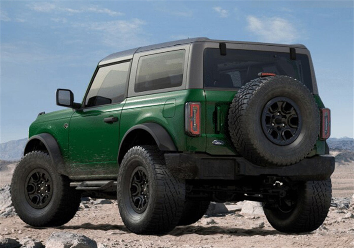 Ford Performance 2021-2025 Bronco Hoop Step 2 Door — additional view (FRPM-16450-BHS2)