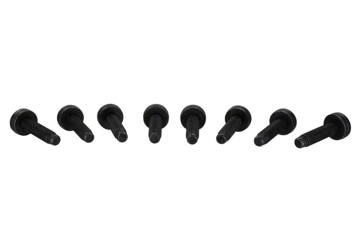 Ford Performance 2021-2025 Tube Door Grab Handle — additional view (FRPM-19008-BTDG)