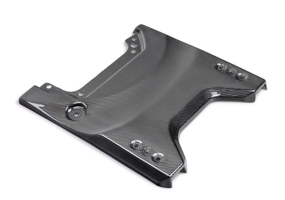 Ford Performance 2022-2025 Bronco Raptor Carbon Fiber Tailgate Applique-Gloss (FRPM-16600-BG)