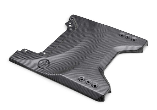Ford Performance 2022-2025 Bronco Raptor Carbon Fiber Tailgate Applique-Matte (FRPM-16600-BM)