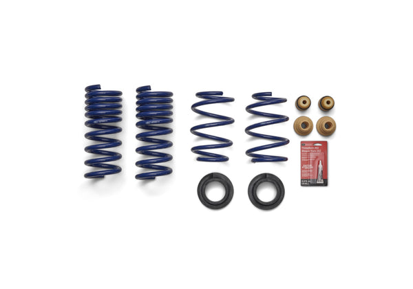 Ford Performance 2024-2025 Mustang 5.0L Track Lowering Spring Kit (FRPM-5300-S65T)