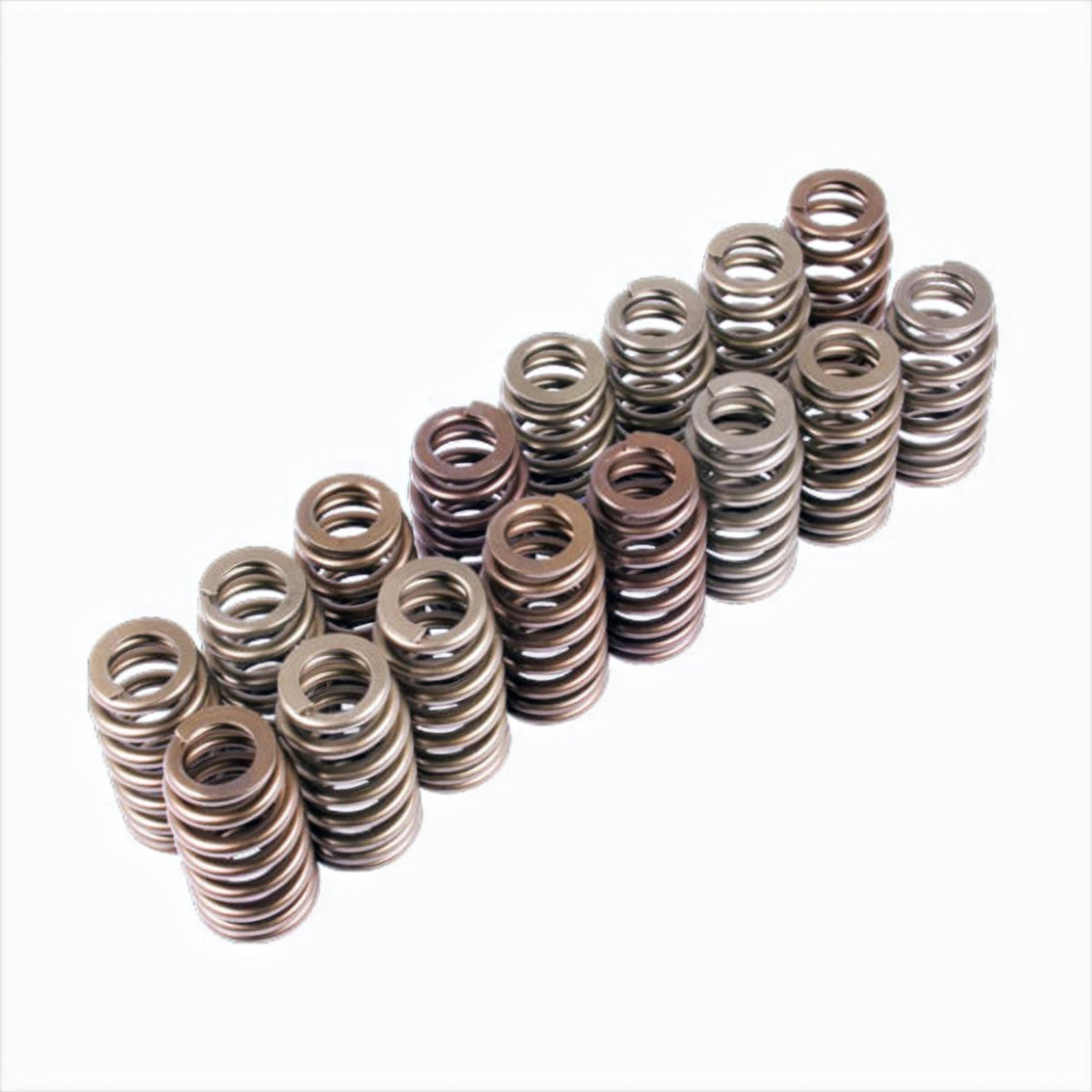 Ford Performance Boss 302R Valve Spring Kit (FRPM-6513-M50BR)