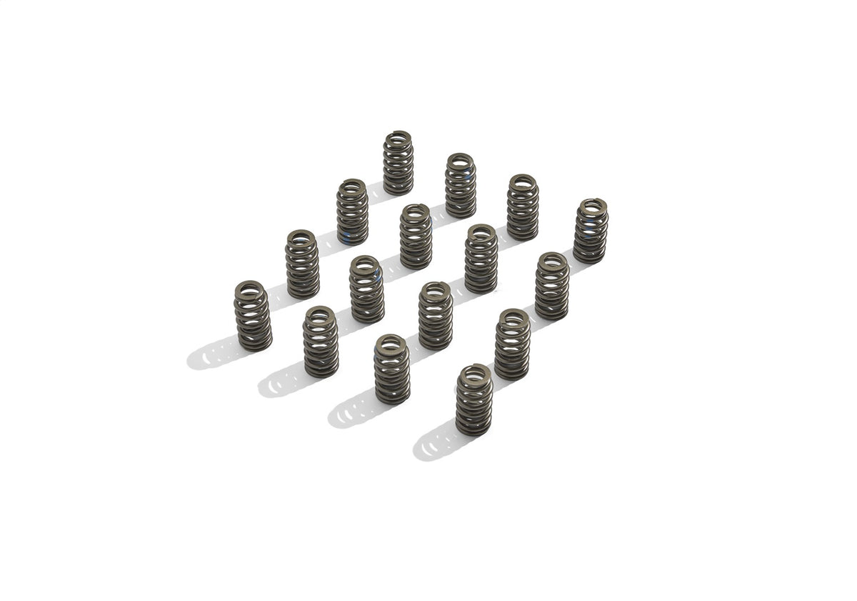 Ford Performance Boss 302R Valve Spring Kit — alternate view (FRPM-6513-M50BR)