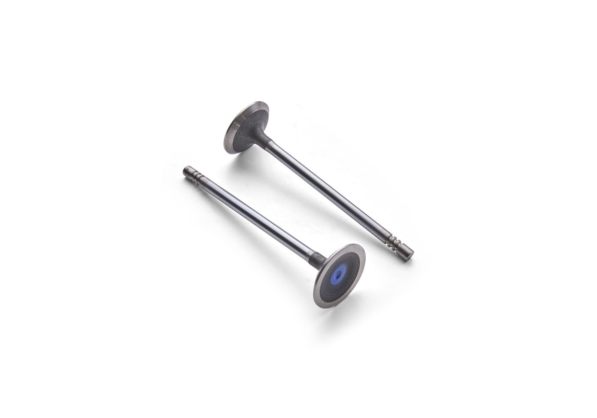 Ford Performance Exhaust Valve Lightweight 5.2L Coyote-Qty 8 — additional view (FRPM-6505-M52)