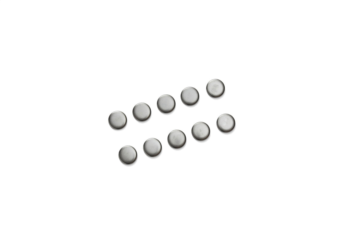Ford Performance Ford Performance Engine Block-Camshaft Plug Kit — additional view (FRPM-6026-S351)