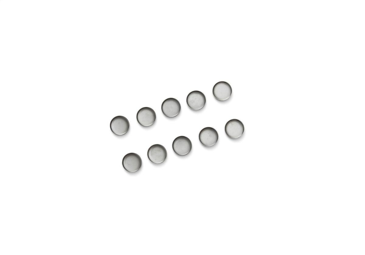 Ford Performance Ford Performance Engine Block-Camshaft Plug Kit — in use (FRPM-6026-S351)