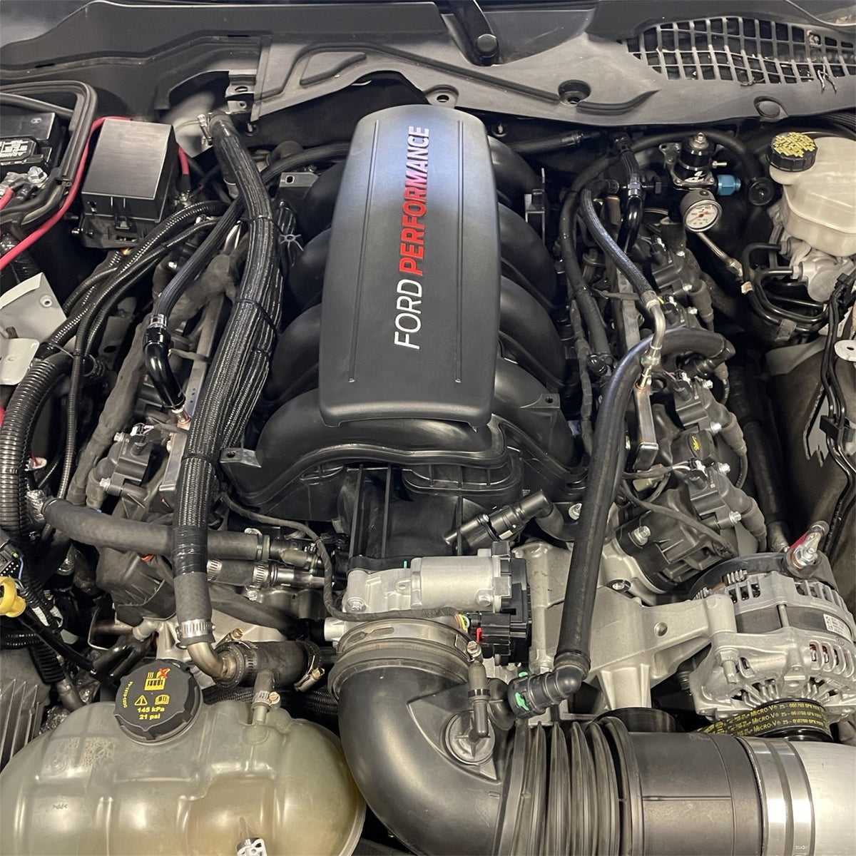 Ford Performance Ford Performance Low Profile Intake For 7.3L Gas Engine — alternate view (FRPM-9424-73LP)