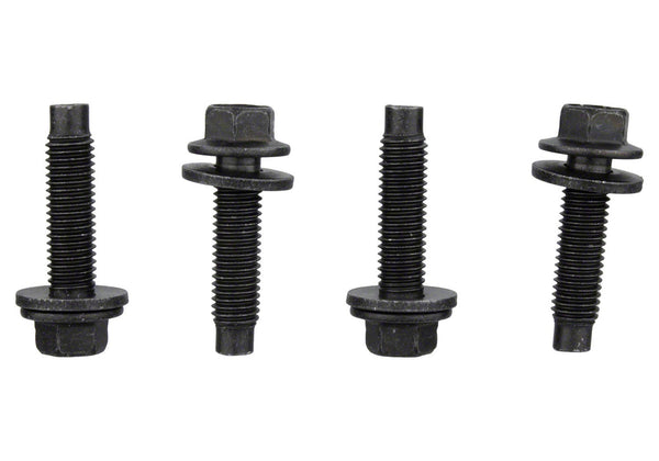 Ford Performance FPP Bead Lock Ring Bolt Kit (FRPM-503317K-BOLT)