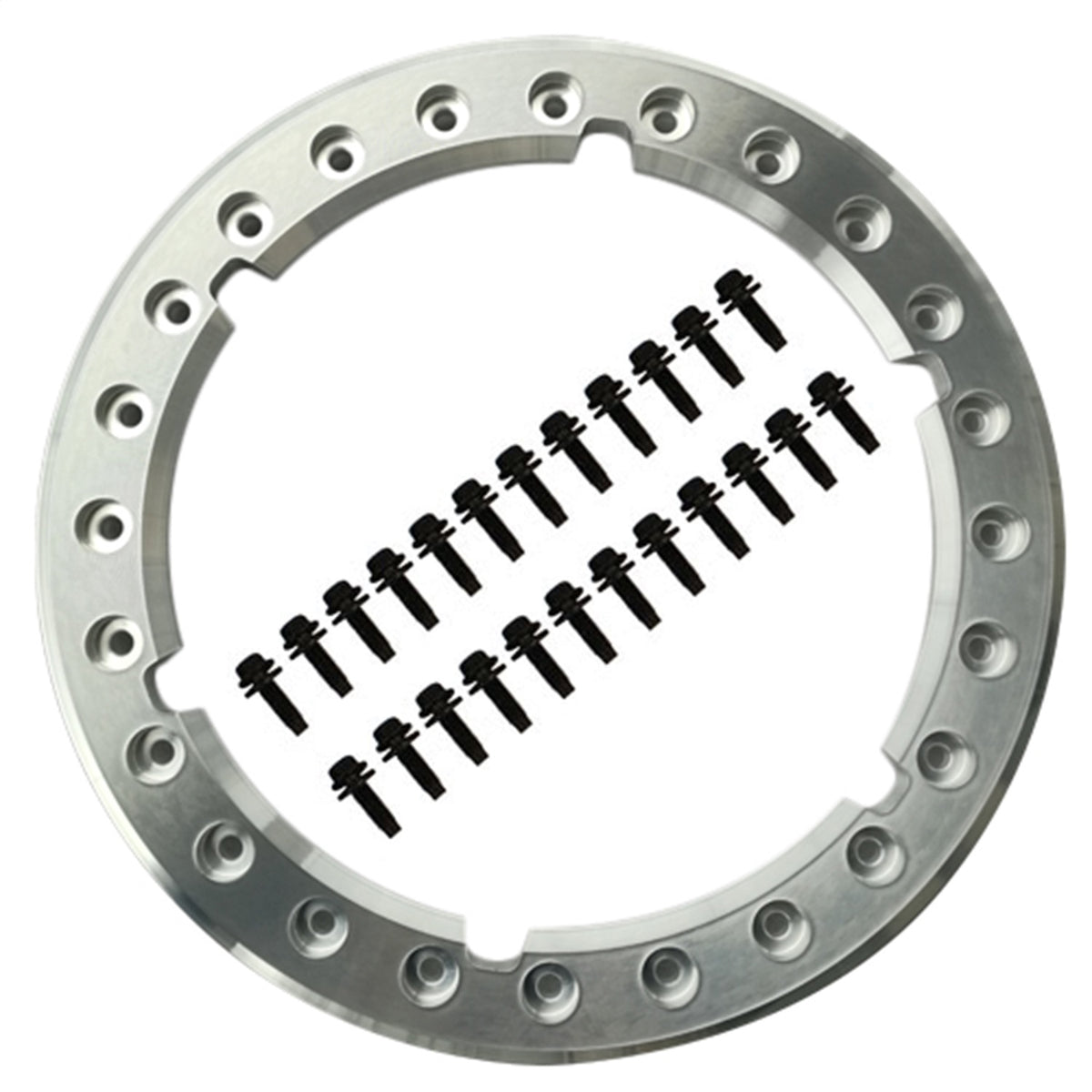 Ford Performance Functional Beadlock Ring Kit With Fasteners (FRPM-1021-F15RB)