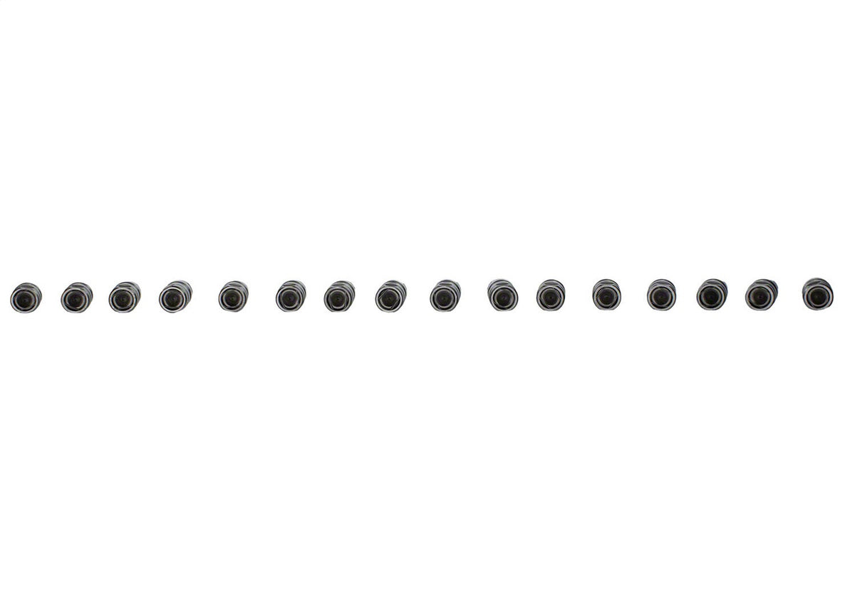 Ford Performance Hydraulic Roller Cam Lifters — additional view (FRPM-6500-R302)